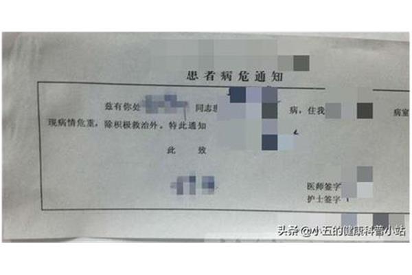 住脑是什么意思
