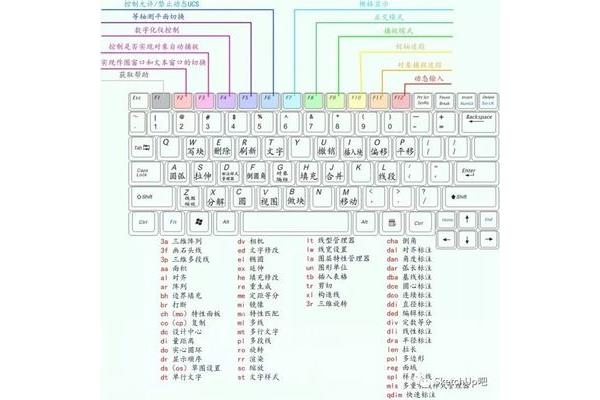 撤销的快捷键