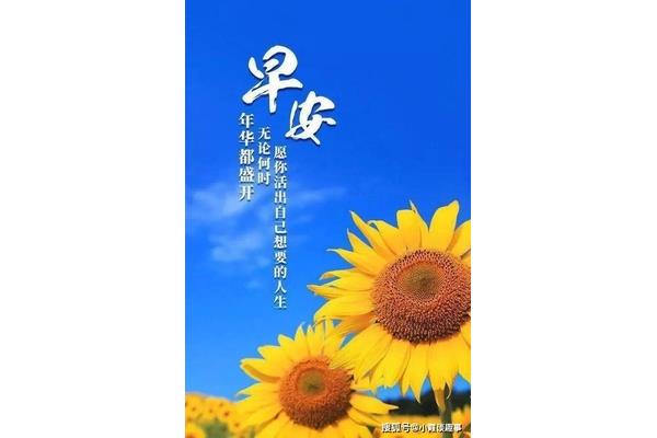热爱生活的句子