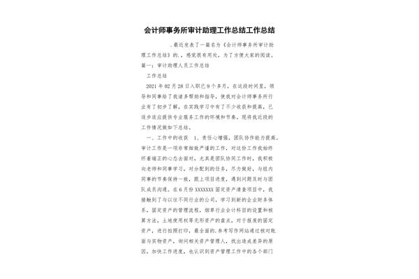 审计工作总结个人