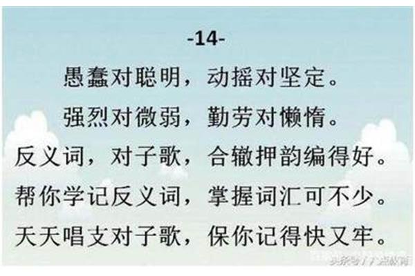 聪明的反义词