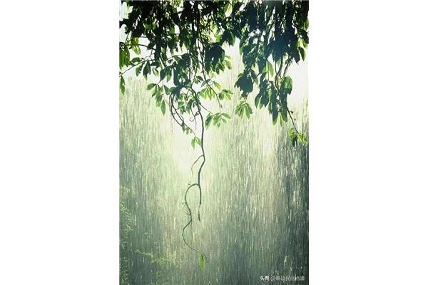 大雨如注的意思