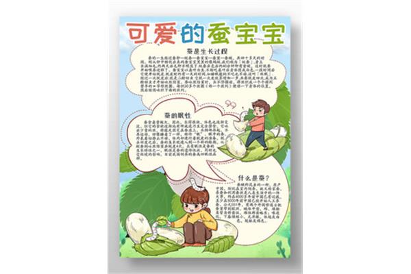 观察的意思