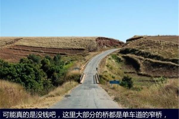 野性的青春