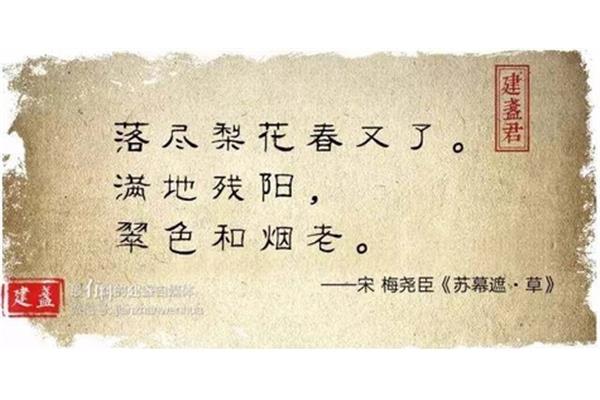 写茶的诗句
