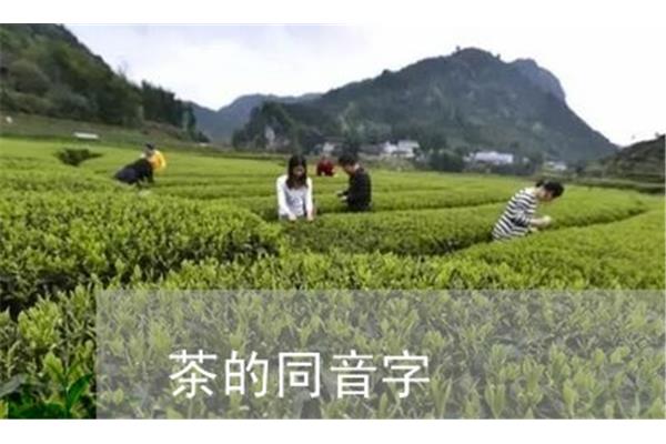 防御的御组词