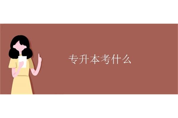 专升本满分是多少