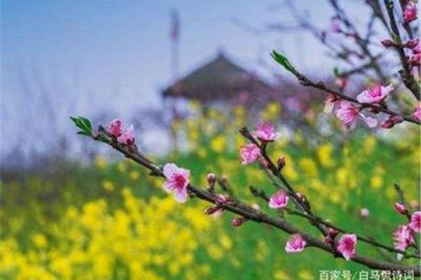 春风得意啥意思