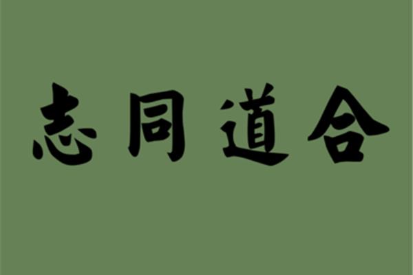 志同道合造句
