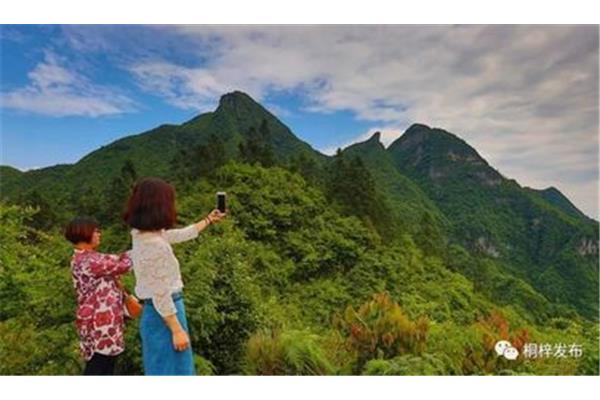 桐梓县人民政府网