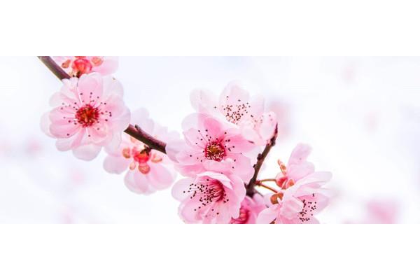 春风得意啥意思