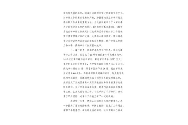 审计工作总结个人