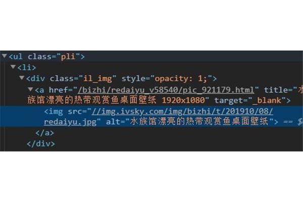 天堂网2016