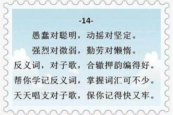 聪明的反义词