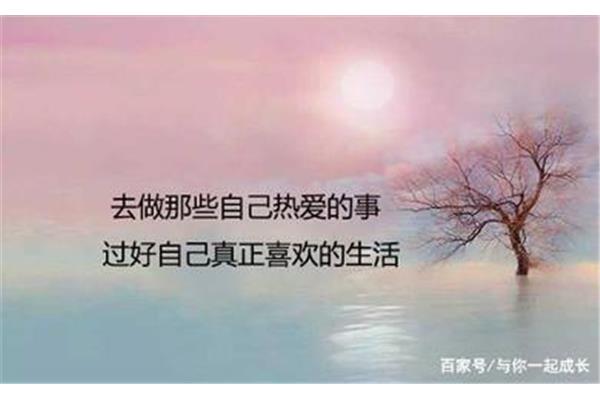 热爱生活的句子
