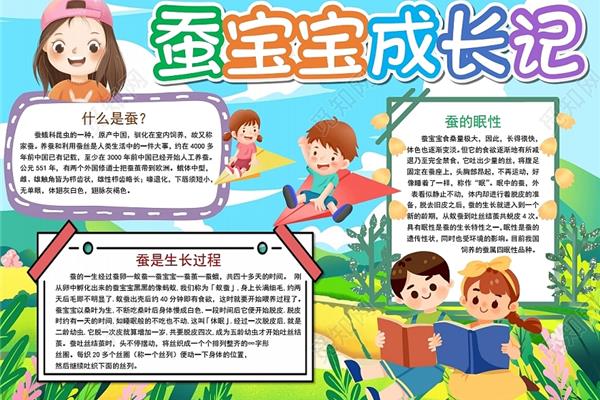 观察的意思