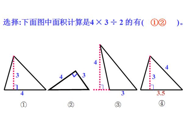 三角形的面积教案