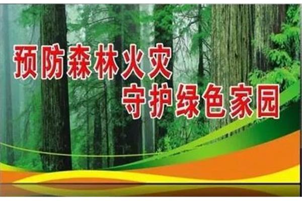 森林火灾预防