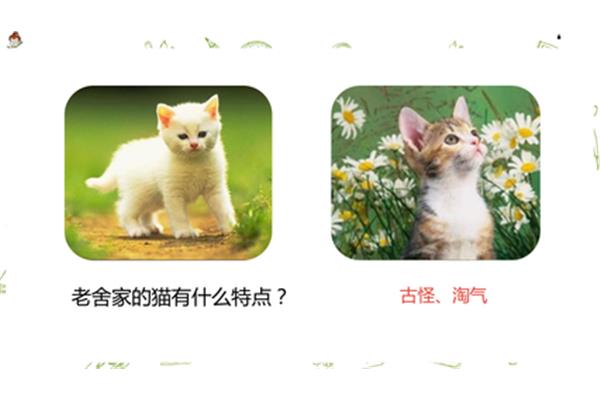 我的动物朋友狗