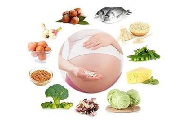 孕妇饮食大全