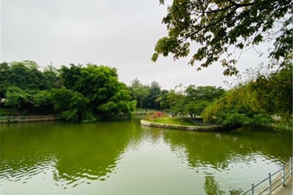 寸金桥公园