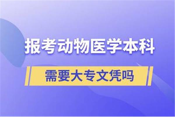 自考电子商务