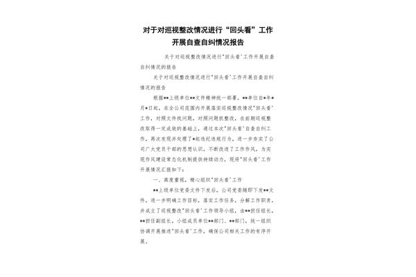自查自纠报告