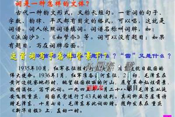 沁园春雪字数