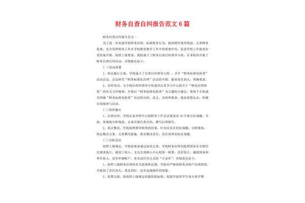 自查自纠报告