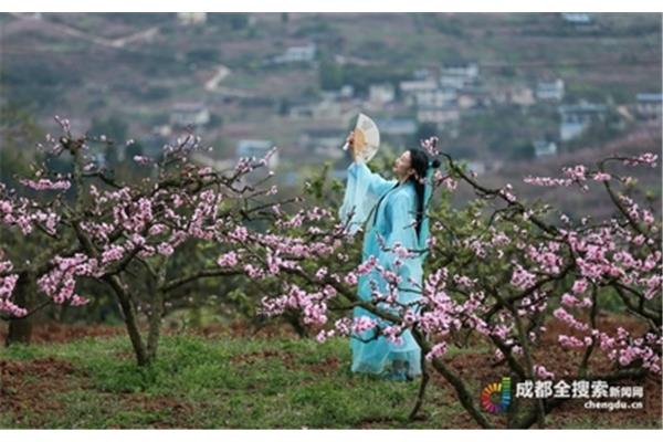 色姑娘桃花网