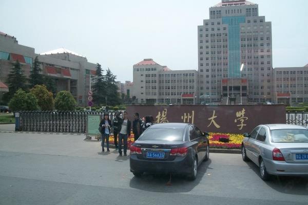 孤独之旅读后感