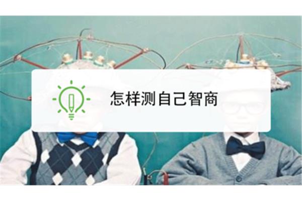 怎样测智商