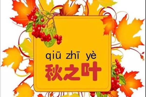 收获满满的成语