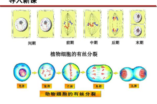 导入的作用