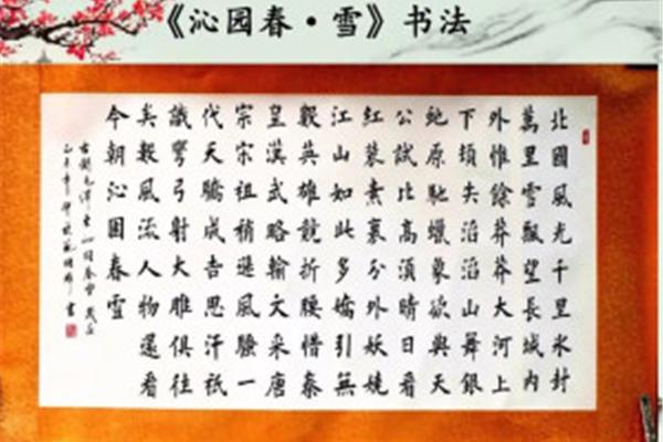 沁园春雪字数