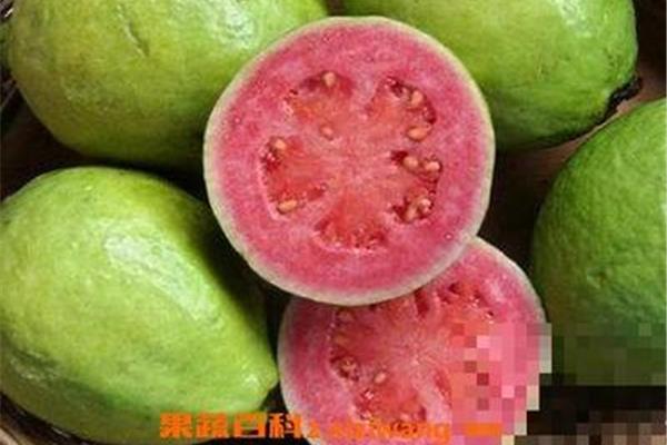 番石榴的营养价值