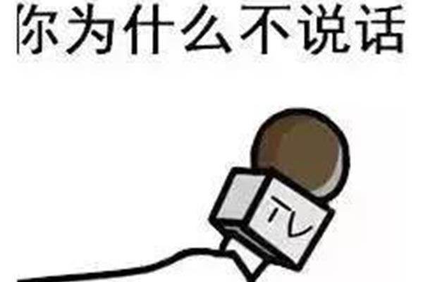 什么的说话