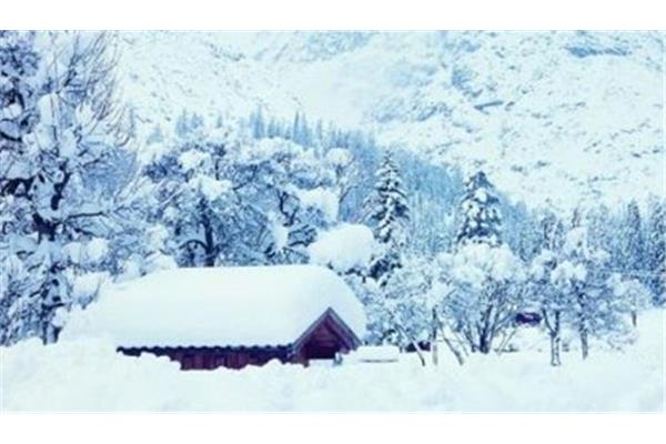 关于雪景的词语