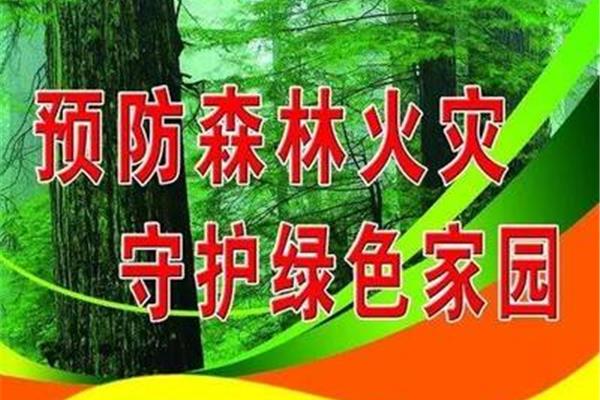 森林火灾预防