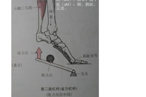 正确的跑步姿势