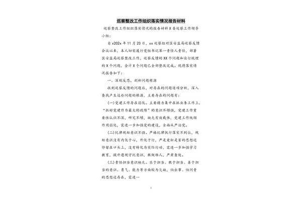 整改落实情况