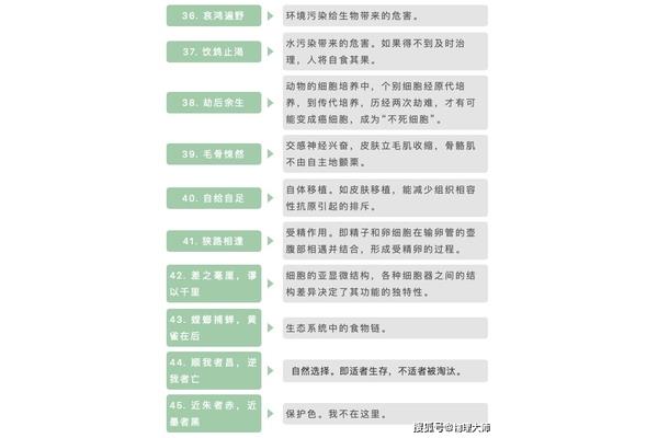 收获满满的成语