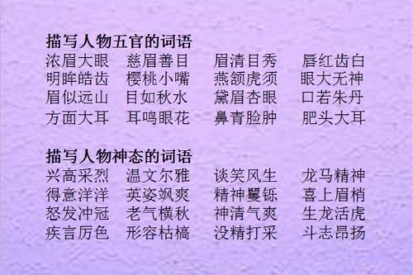 描写人物外貌成语