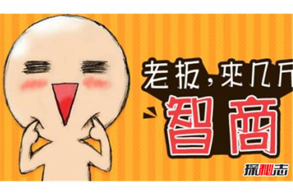 智商低有哪些表现