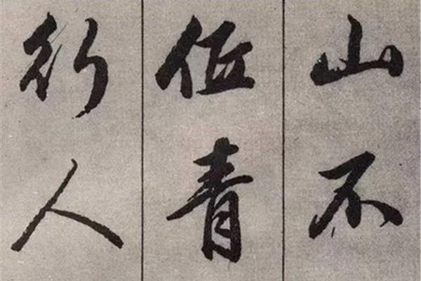 智者见智的意思