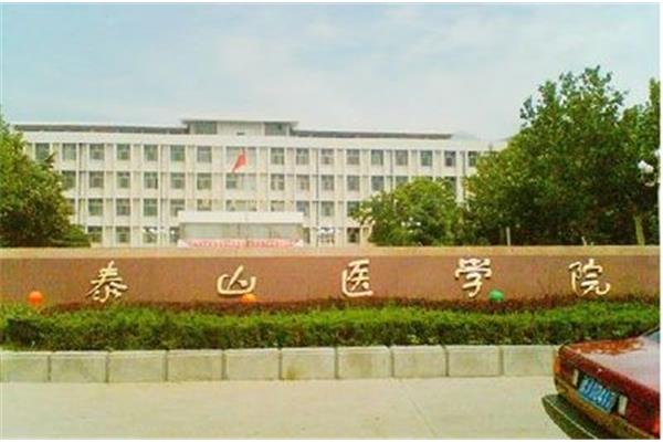 山东齐鲁大学