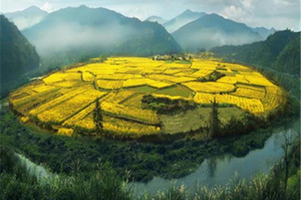 幸福的源头