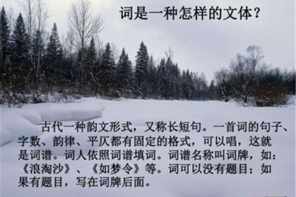 沁园春雪字数
