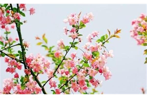 春风满面的意思