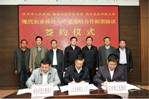 汉中政府网